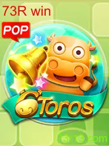 6Toros